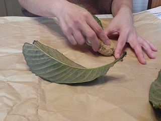 c0152002_21433834.jpg