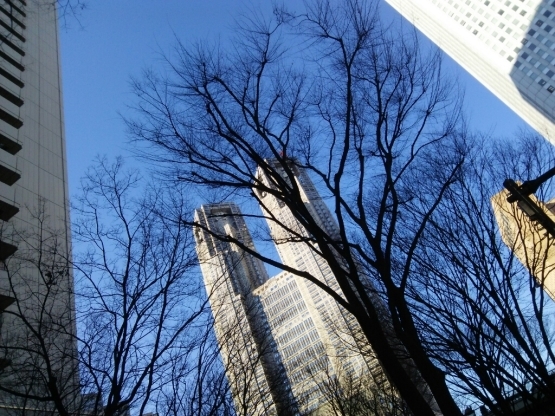 c0212604_17534952.jpg