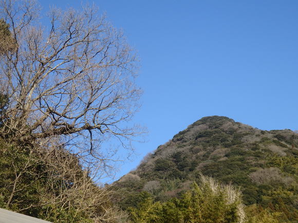 a0054240_20532313.jpg