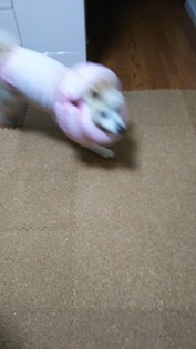 b0080342_09203139.jpg