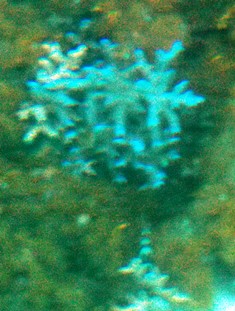 b0289649_20181494.jpg