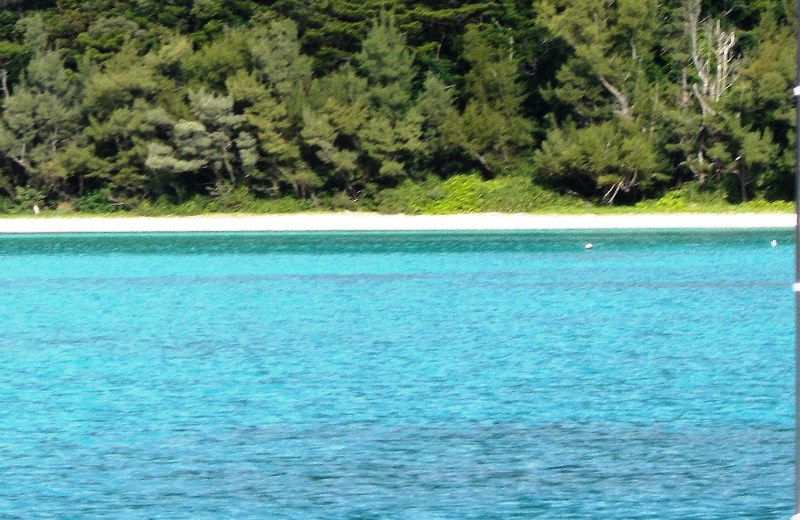b0289649_2112238.jpg