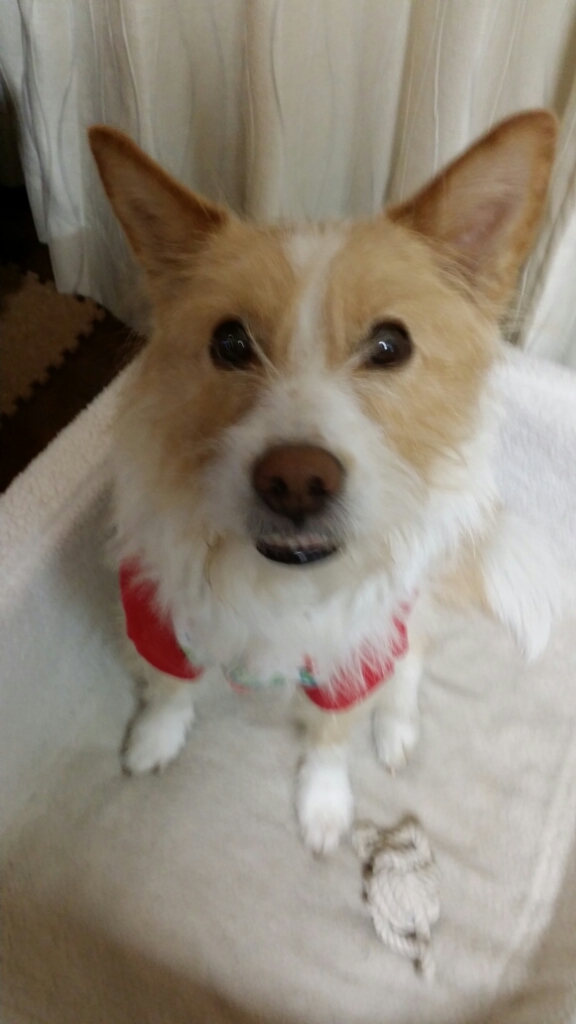 f0046854_22012740.jpg