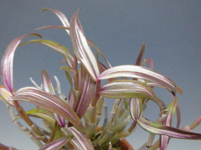 f0318967_22025078.jpg