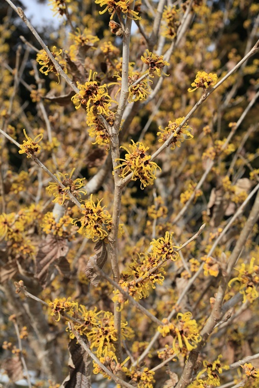 e0304170_18324791.jpg