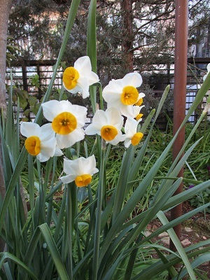 a0053480_08531353.jpg