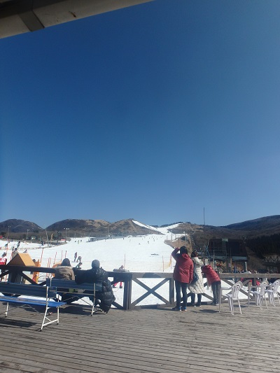 d0174683_21521943.jpg