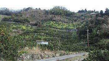 f0003283_14535986.jpg