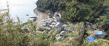 f0003283_14545306.jpg