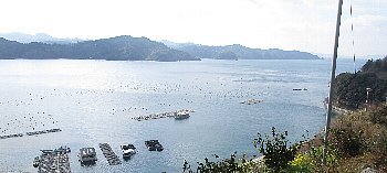 f0003283_14555501.jpg