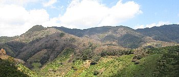 f0003283_15015764.jpg