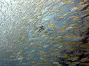 f0144385_22101394.jpg