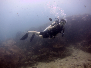f0144385_22101403.jpg