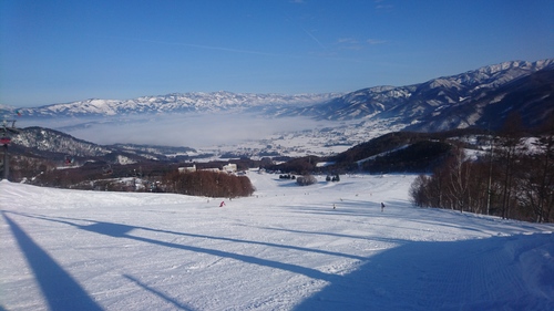 e0015490_2145571.jpg