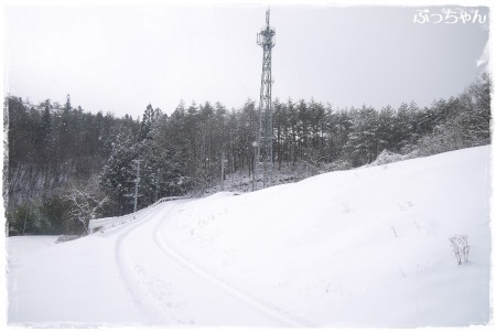 f0353990_12171558.jpg