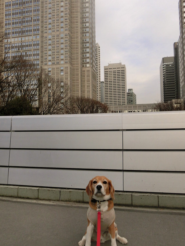 a0319693_9183881.jpg