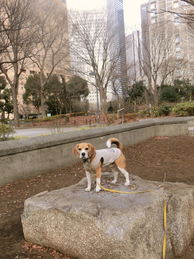 a0319693_9255110.jpg