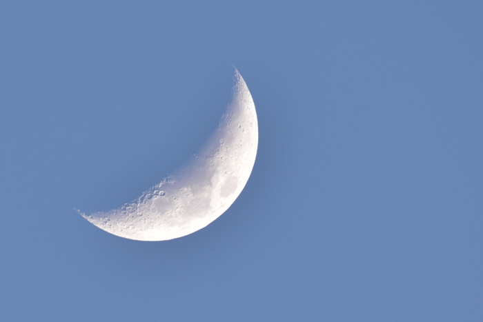 c0049299_22141315.jpg