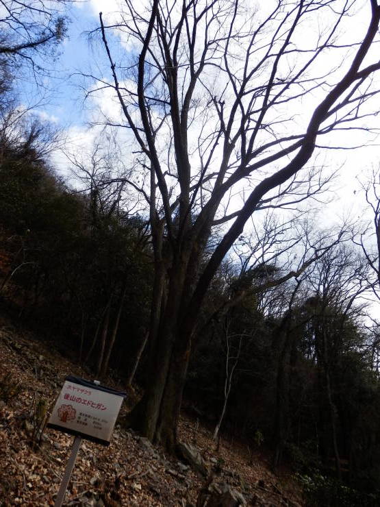 f0219710_15313740.jpg