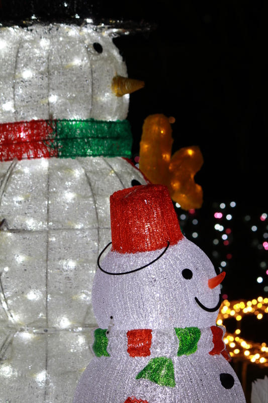 f0209122_17584092.jpg