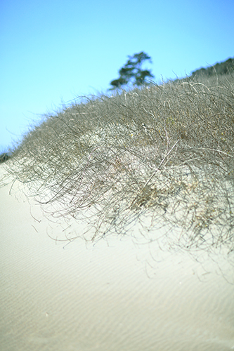 f0078127_95355.jpg