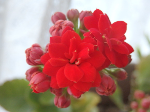 a0054240_2137265.jpg