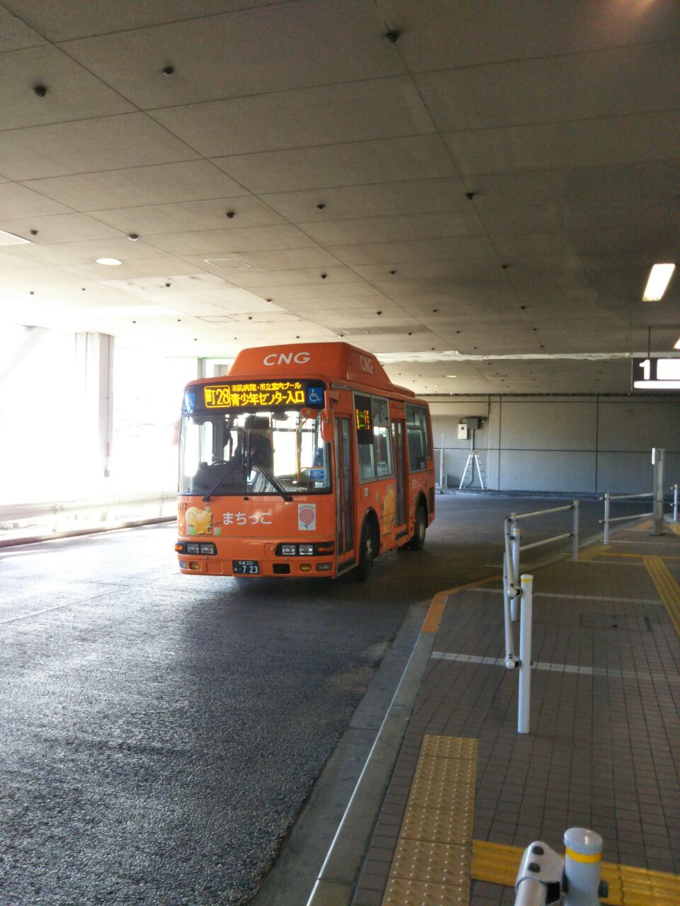b0031140_1733263.jpg