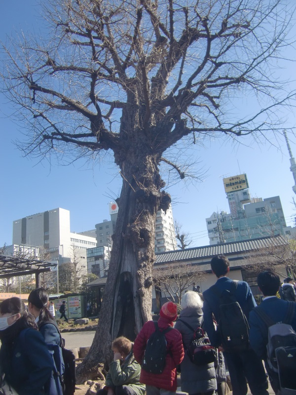 f0329849_23583797.jpg