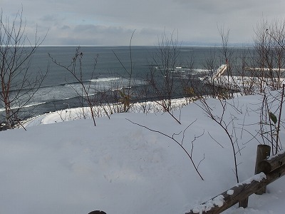 e0004756_20135868.jpg