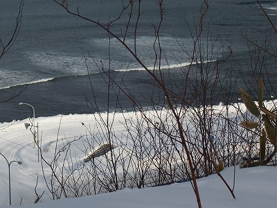 e0004756_20143479.jpg