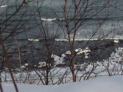 e0004756_20153875.jpg