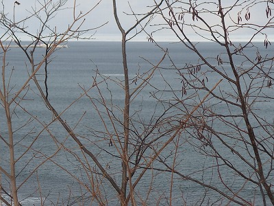 e0004756_20201451.jpg