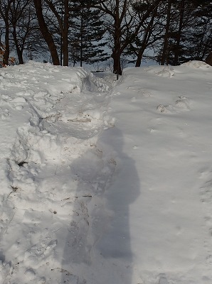 e0004756_20251837.jpg
