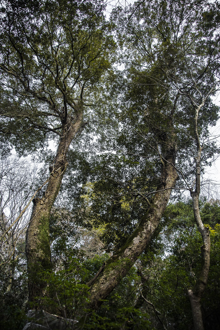 a0301676_11083247.jpg