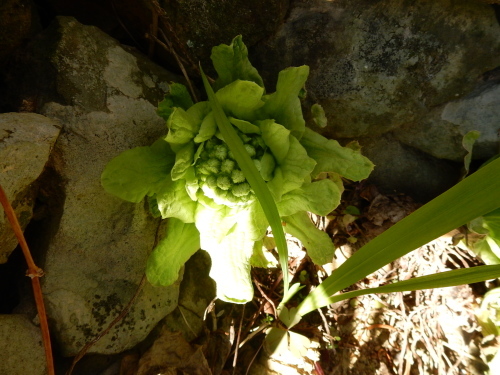 f0054677_06590635.jpg