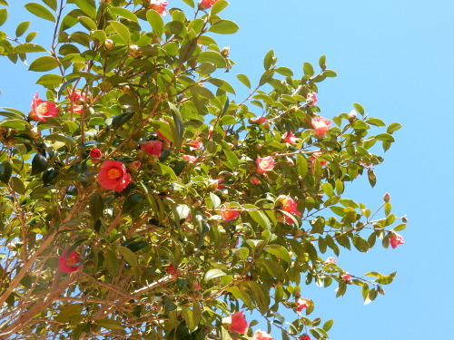 f0054677_07023404.jpg