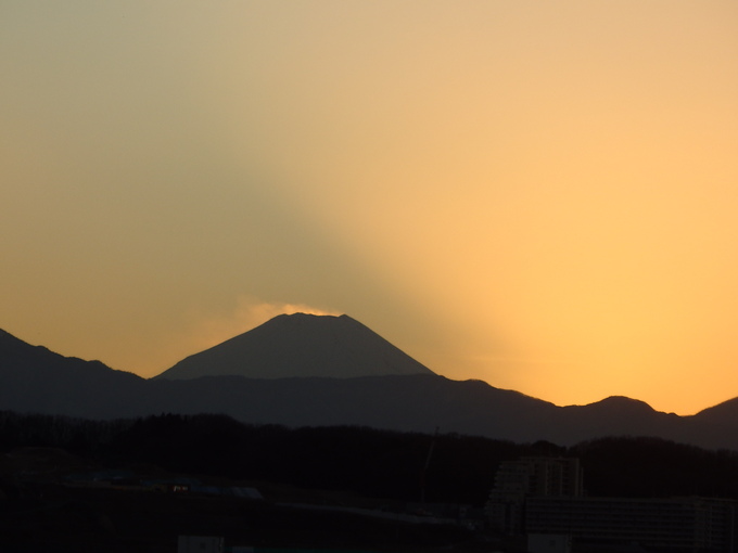 b0197486_8495661.jpg