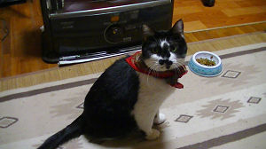 c0049489_18212224.jpg