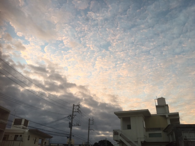c0064389_813089.jpg