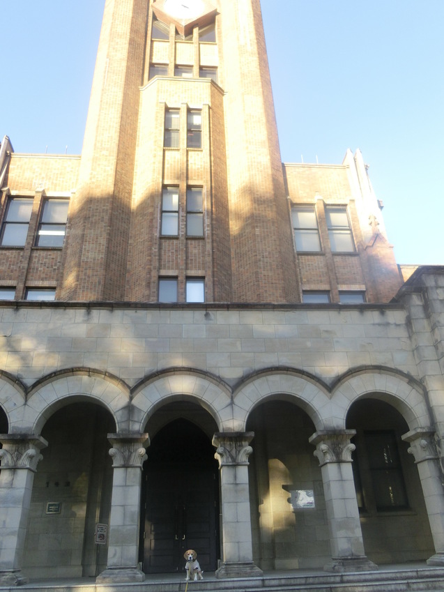 a0319693_8312899.jpg