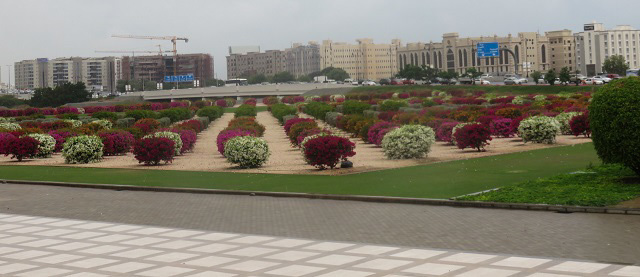 f0346196_16583649.jpg