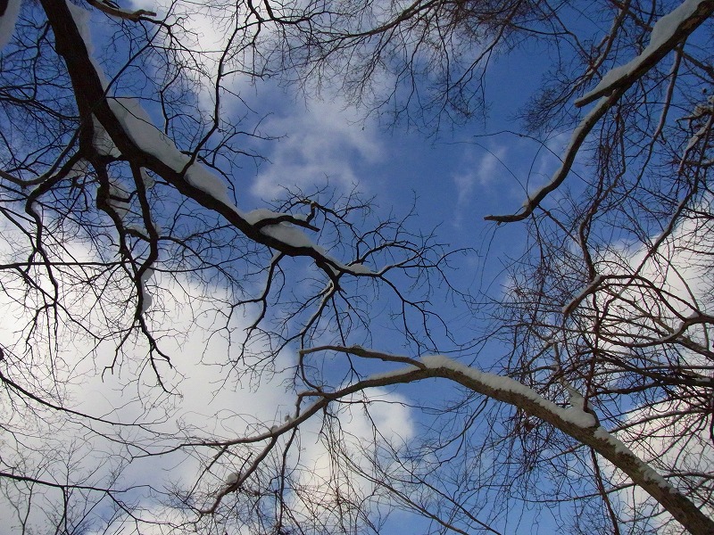 f0157901_15501558.jpg