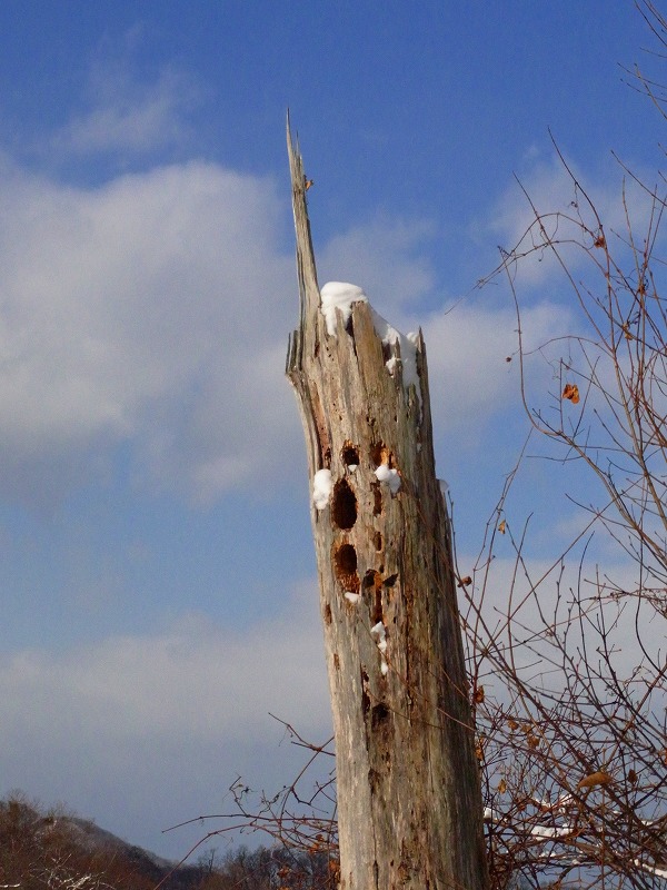 f0157901_15504213.jpg