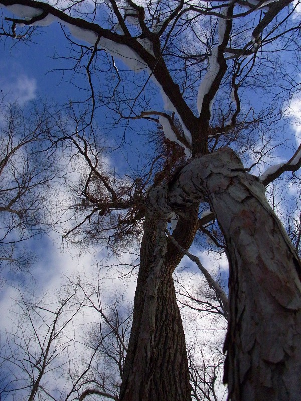 f0157901_15512023.jpg
