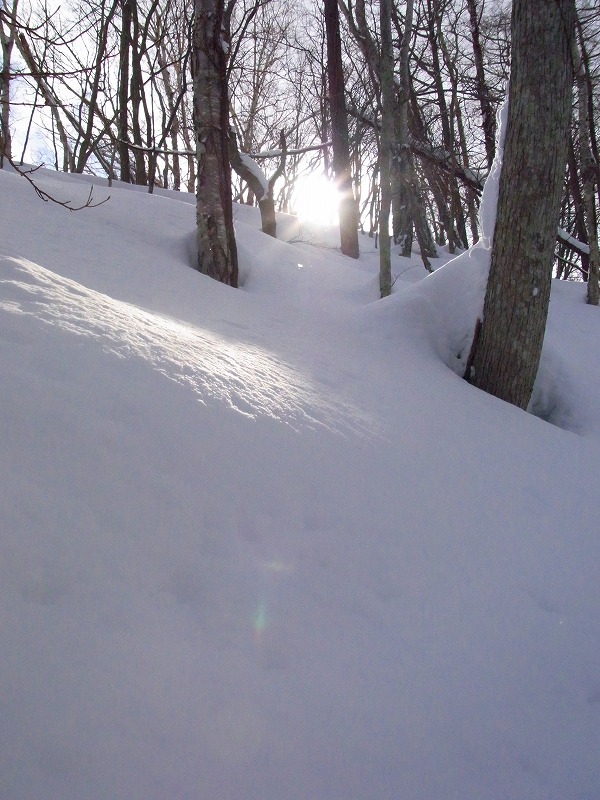 f0157901_1551384.jpg