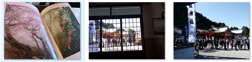 f0231709_0584011.png