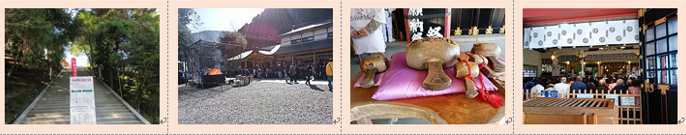 f0231709_16422037.png