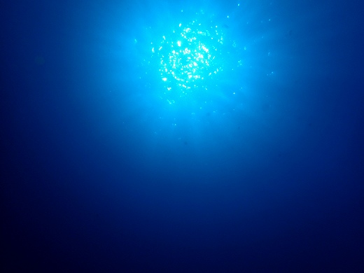 d0175710_2326241.jpg