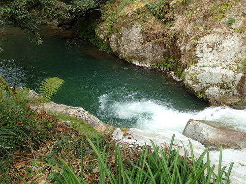 a0315918_16512589.jpg