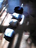 e0182926_1130511.jpg